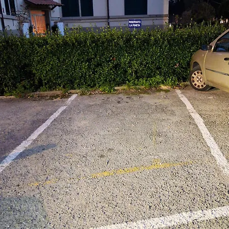 La Pineta